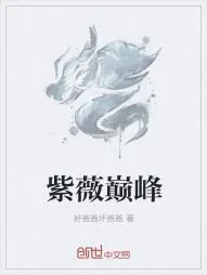 《紫薇巅峰》小说封面