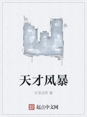 《天才风暴》小说封面