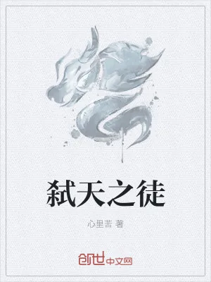 《弑天之徒》小说封面