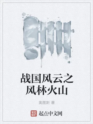 《战国风云之风林火山》小说封面