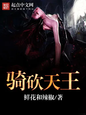 《骑砍天王》小说封面