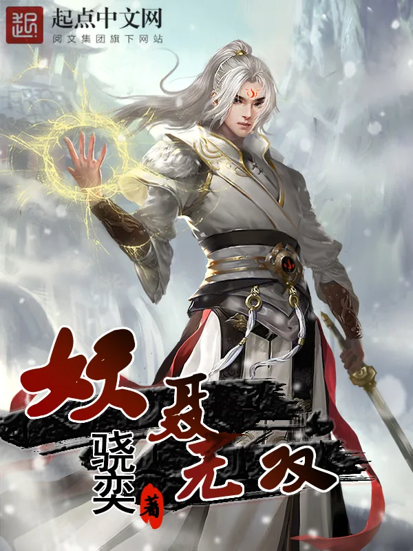 《妖聂无双》小说封面