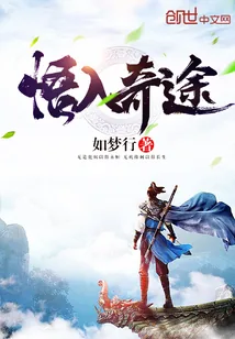 《悟入奇途》小说封面