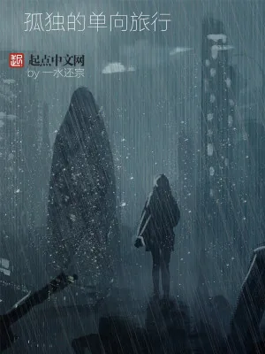 《孤独的单向旅行》小说封面