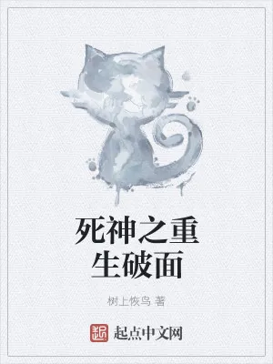 《死神之重生破面》小说封面