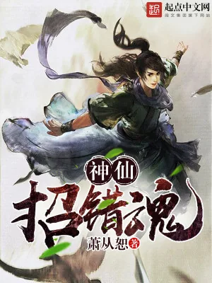 《神仙招错魂》小说封面