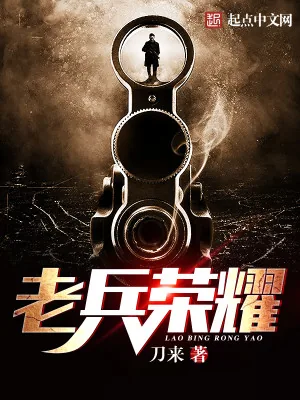 《老兵荣耀》小说封面