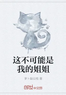 《这不可能是我的姐姐》小说封面