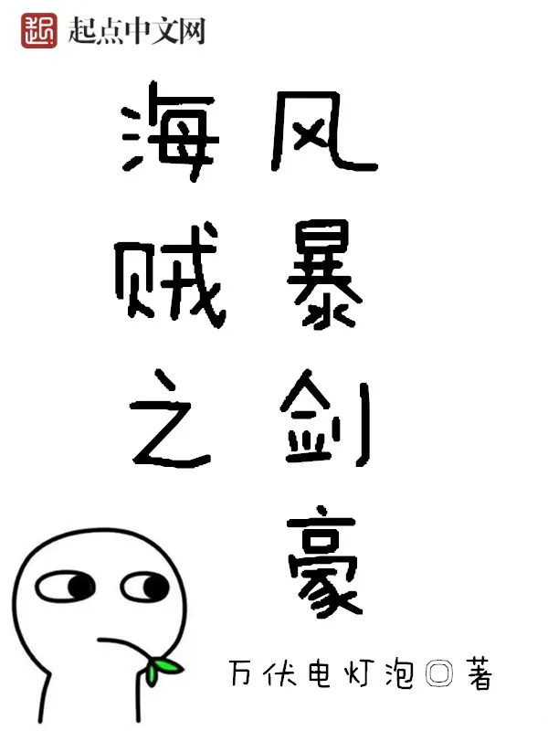 《海贼之风暴剑豪》小说封面
