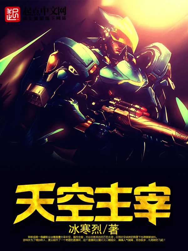 《天空主宰》小说封面