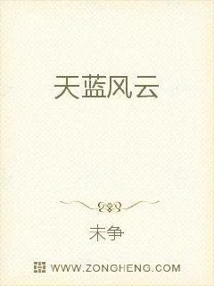 《天蓝风云》小说封面