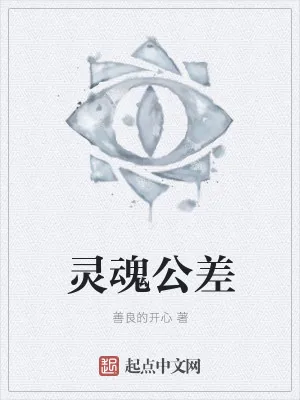 《灵魂公差》小说封面