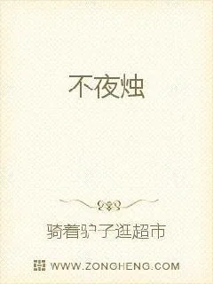 《不夜烛》小说封面