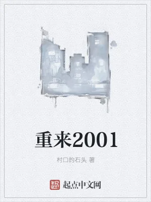 《重来2001》小说封面