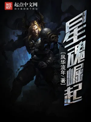 《星魂崛起》小说封面