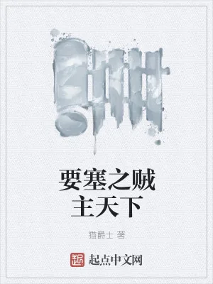 《要塞之贼主天下》小说封面