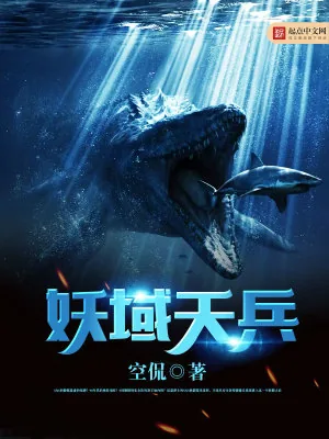 《妖域天兵》小说封面