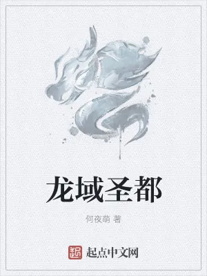 《龙域圣都》小说封面