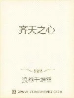 《齐天之心》小说封面