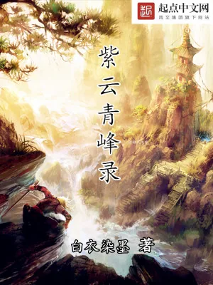 《紫云青峰录》小说封面