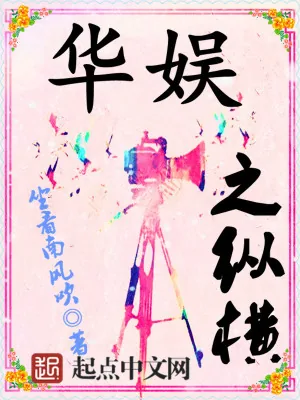 《华娱之纵横》小说封面