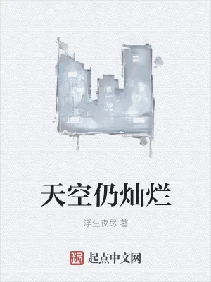 《天空仍灿烂》小说封面