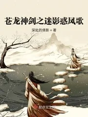 《苍龙神剑之迷影惑凤歌》小说封面