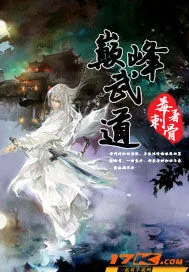 《巅峰武道》小说封面