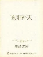 《玄阳补天》小说封面