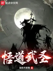 《悟道武圣》小说封面