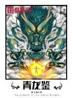 《青龙鉴》小说封面
