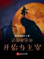 《从诡秘世界开始当主宰》小说封面