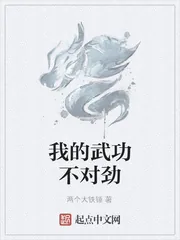 《我的武功不对劲》小说封面