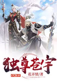 《独尊苍宇》小说封面