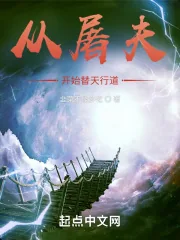《从屠夫开始替天行道》小说封面