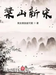 《梁山新宋》小说封面