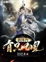 《我体内有只凤凰》小说封面