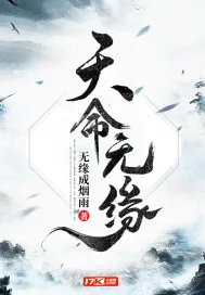 《天命无缘》小说封面