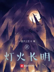 《武：灯火长明》小说封面