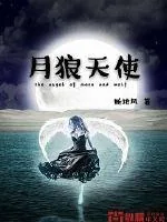 《月狼天使》小说封面