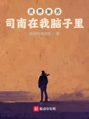 《灵界复苏：司南在我脑子里》小说封面