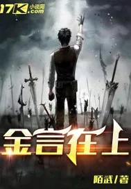 《金言在上》小说封面