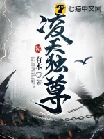 《凌天独尊》小说封面