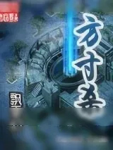 《方寸杀》小说封面