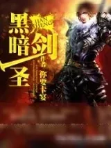 《黑暗剑圣》小说封面