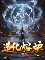 《造化熔炉》小说封面