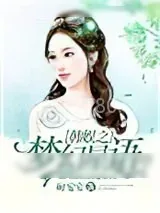 《韩娱之梦幻星语》小说封面