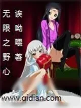 《无限之野心》小说封面