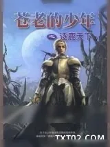 《苍老的少年》小说封面