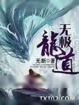 《无极龙道》小说封面